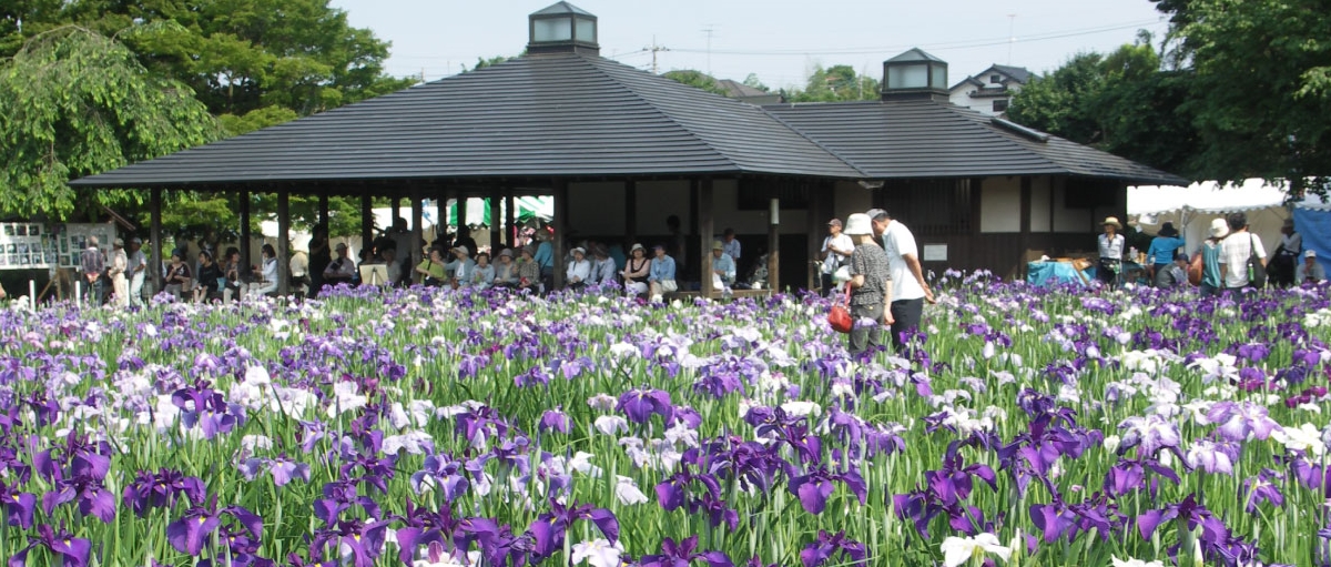 東村山市６