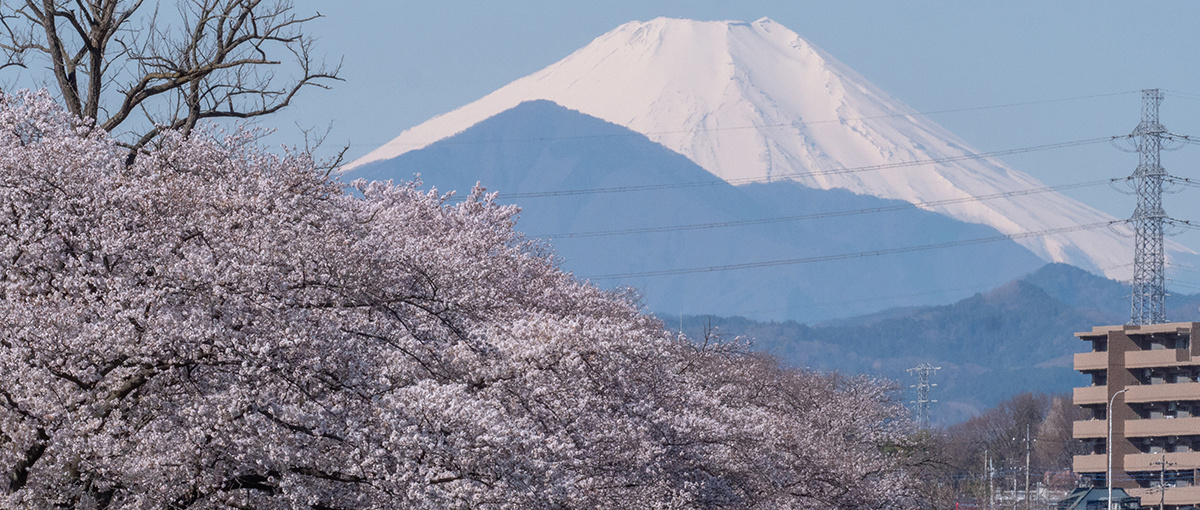 日野市3-4